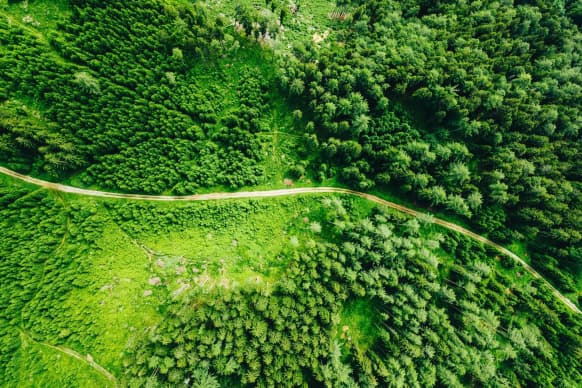 Enable Green Leases